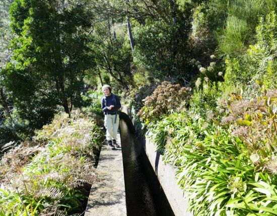 Levada das Rabaças.