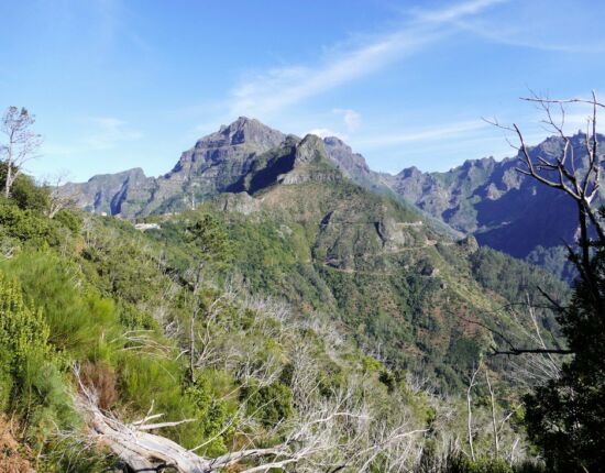 Levada das Rabaças.