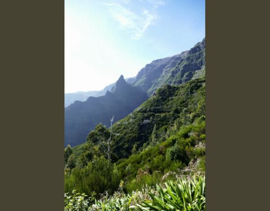 Levada das Rabaças.