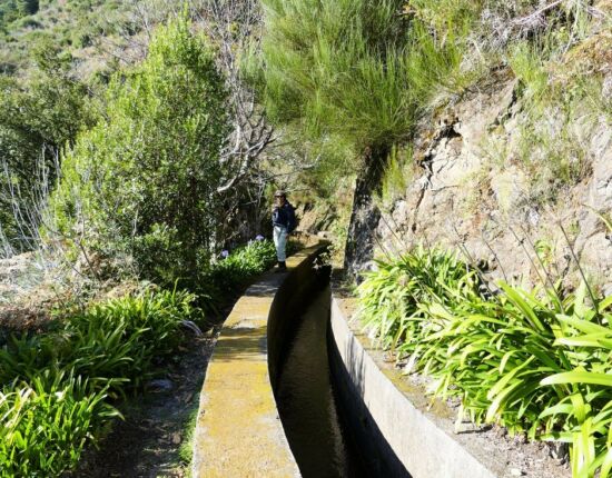 Levada das Rabaças.