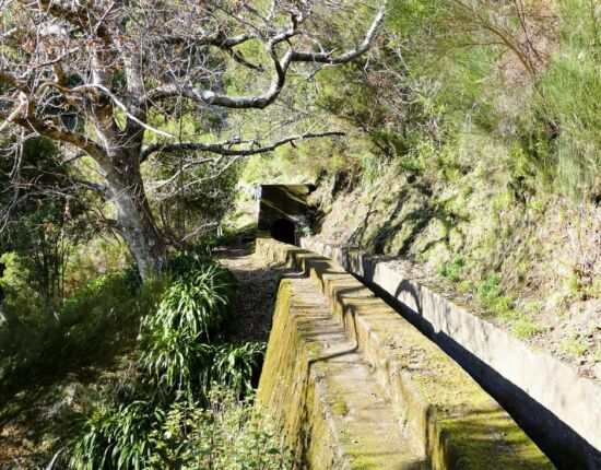 Levada das Rabaças.