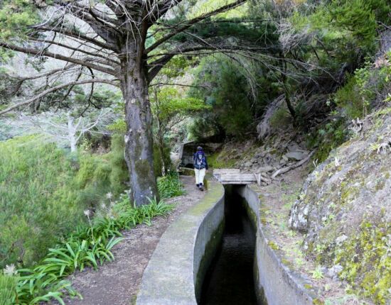 Levada das Rabaças.