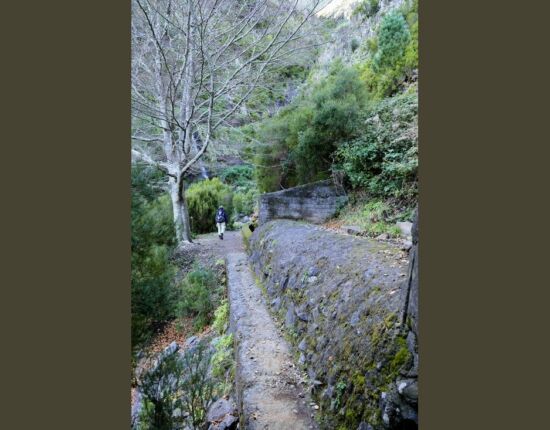 Levada das Rabaças.