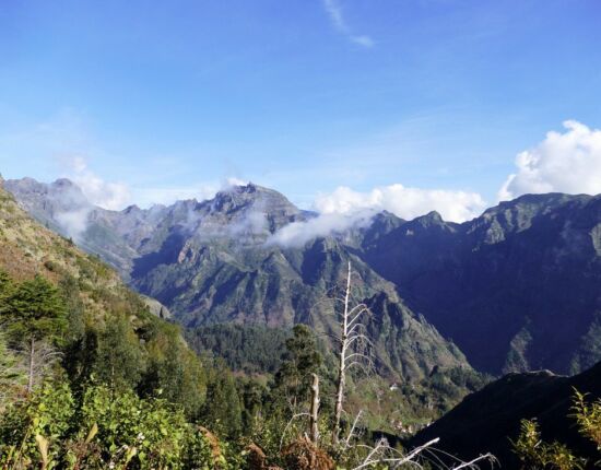 Levada das Rabaças.