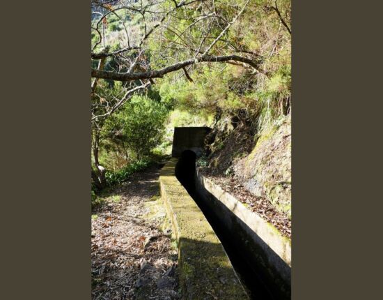 Levada das Rabaças.