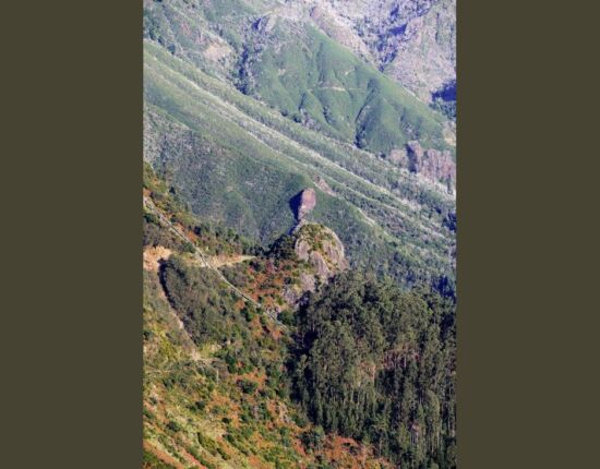 Levada das Rabaças.