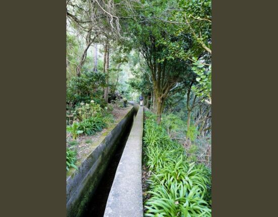 Levada das Rabaças.