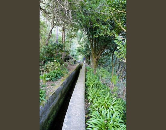 Levada das Rabaças.