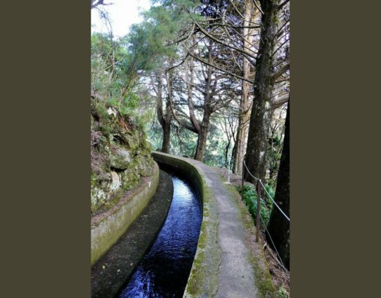 Levada das Rabaças.