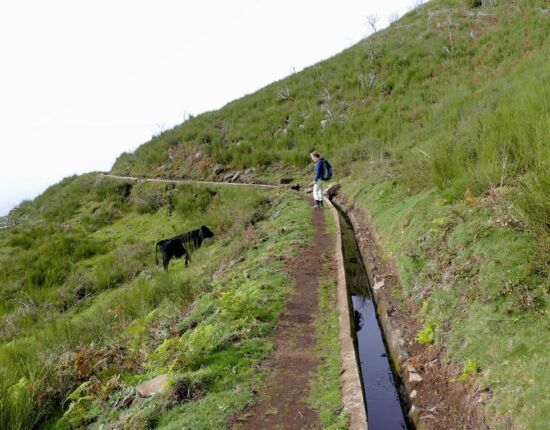 Levada do Paúl.