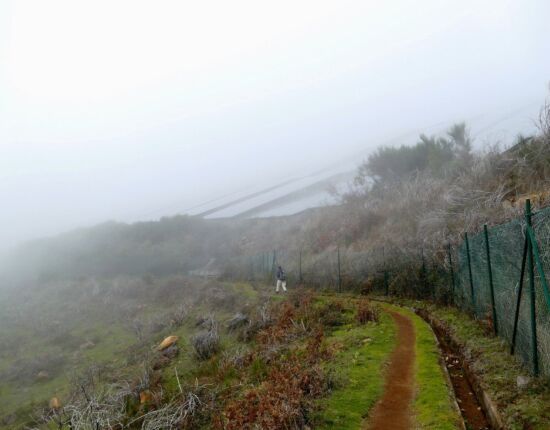 Solarpark neben der Levada do Paúl.