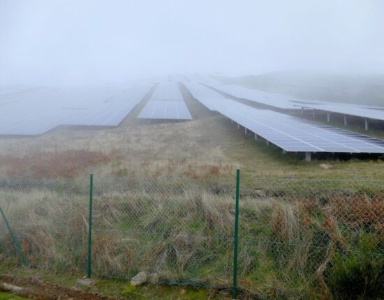 Solarpark neben der Levada do Paúl.