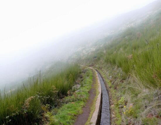 Levada do Paúl.