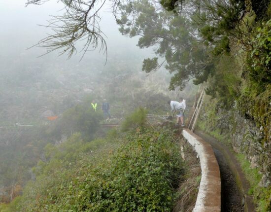 Instandsetzungsarbeiten an der Levada do Paúl.