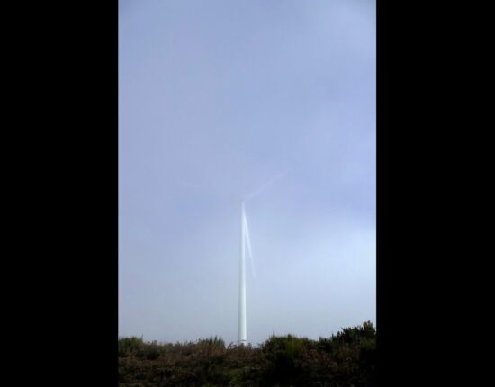 Das Windrad grüßt zum Abschied.