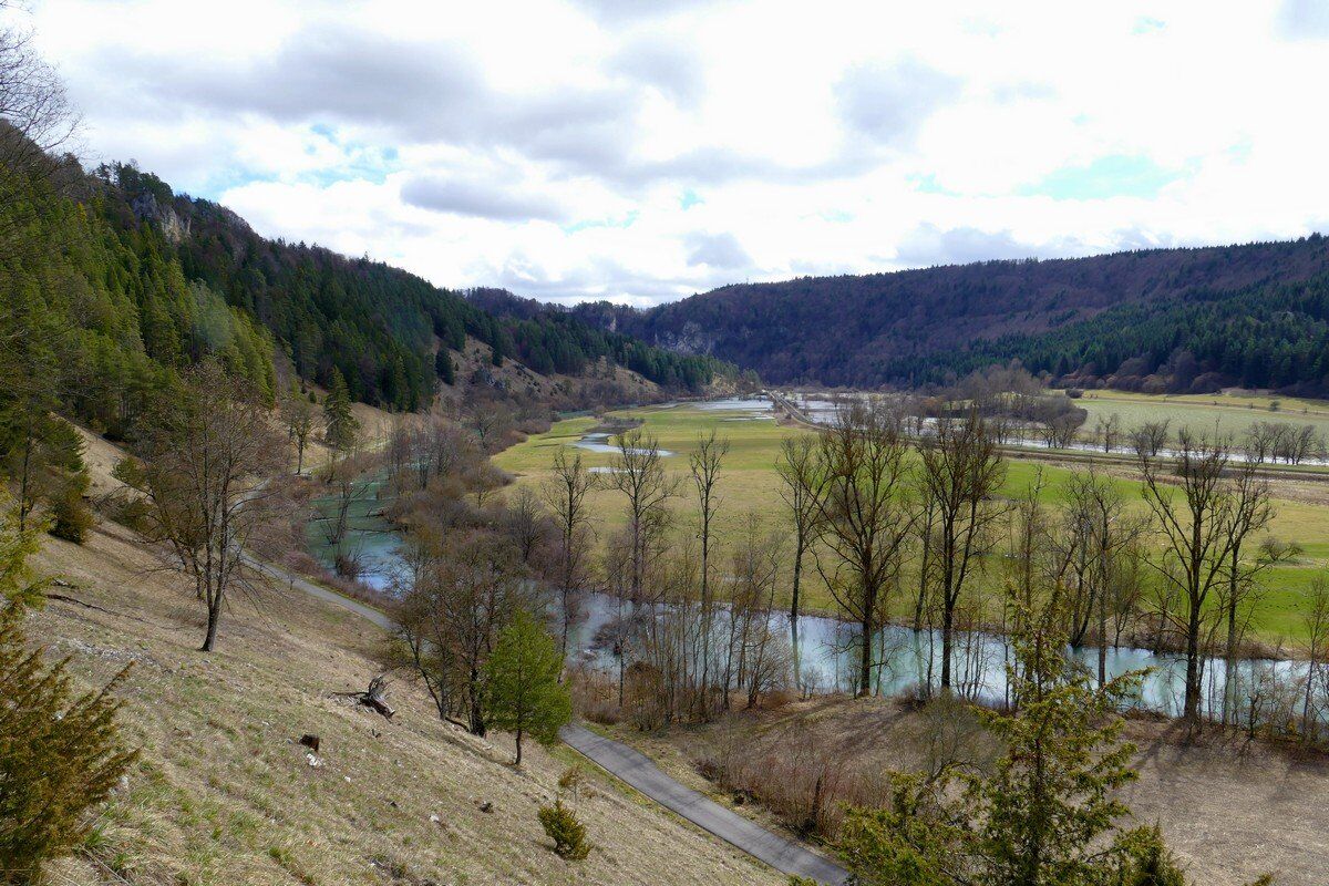 Blick in das Donautal.