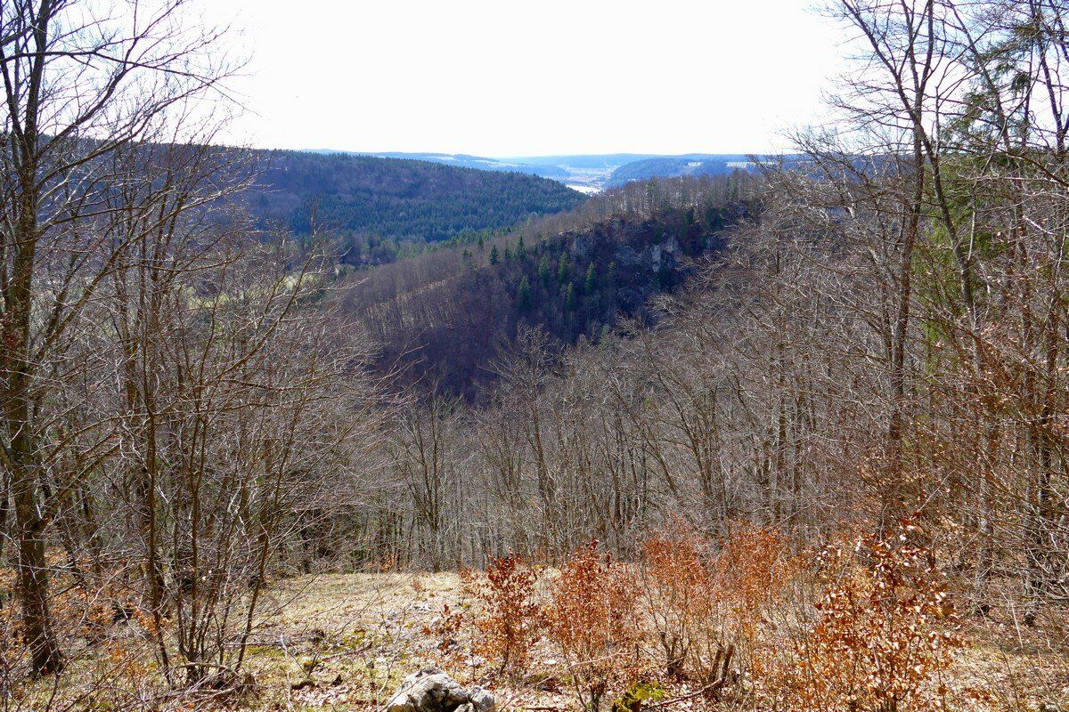 Blick in das Donautal.