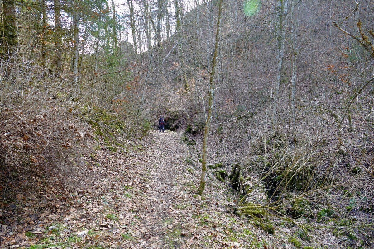 Abstieg in das Hintelestal.