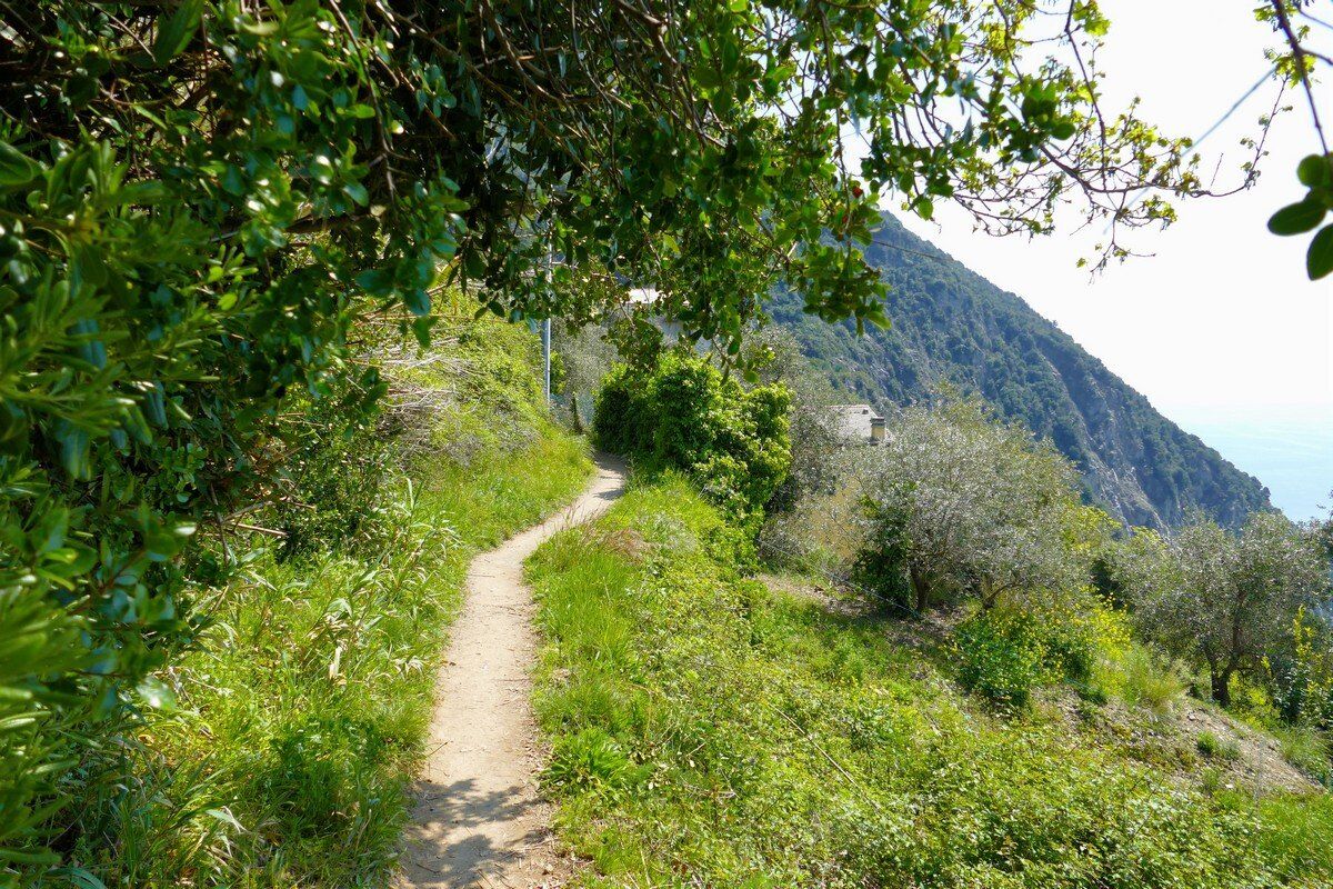 Auf dem Sentiero Verdeazzurro.