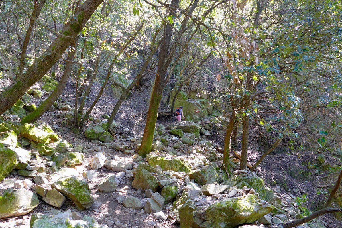 Auf dem Sentiero Verdeazzurro.