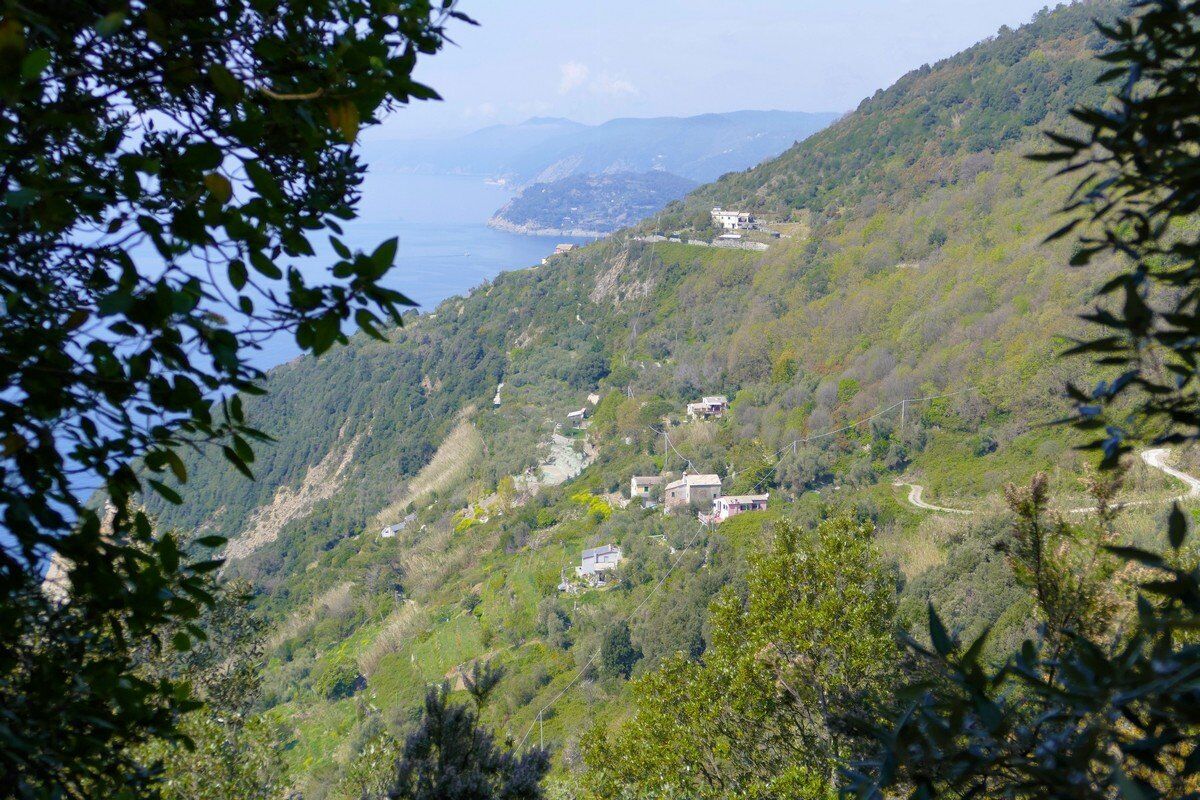 Auf dem Sentiero Verdeazzurro - Blick auf die ligurische Küste.
