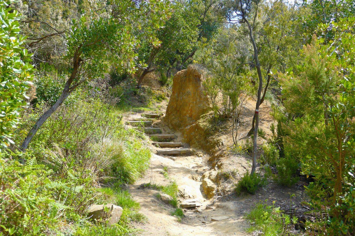 Auf dem Sentiero Verdeazzurro.