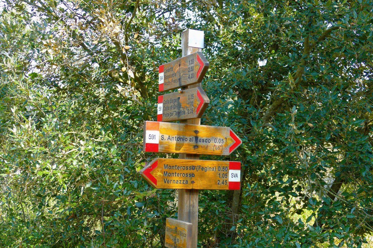 Auf dem Sentiero Verdeazzurro.