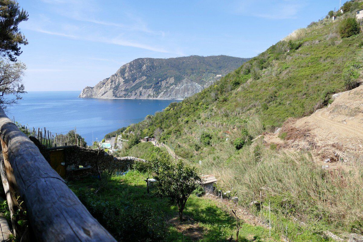 Blick auf die Küste.