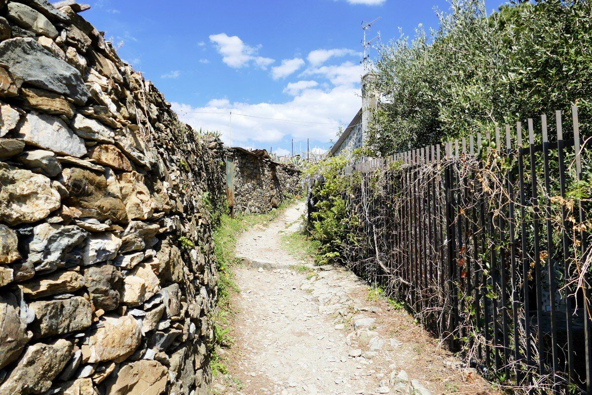 Der Aufstieg beginnt ...