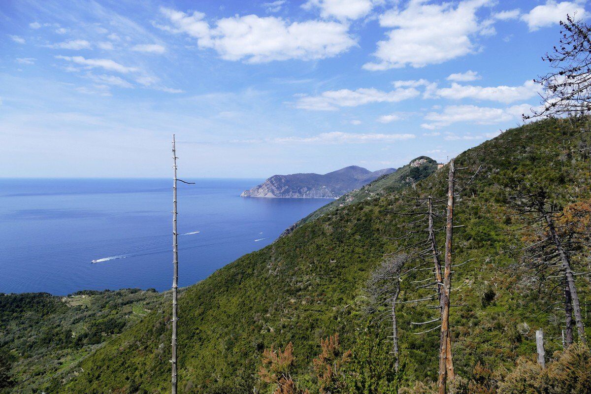 Blick nach Monterosso.