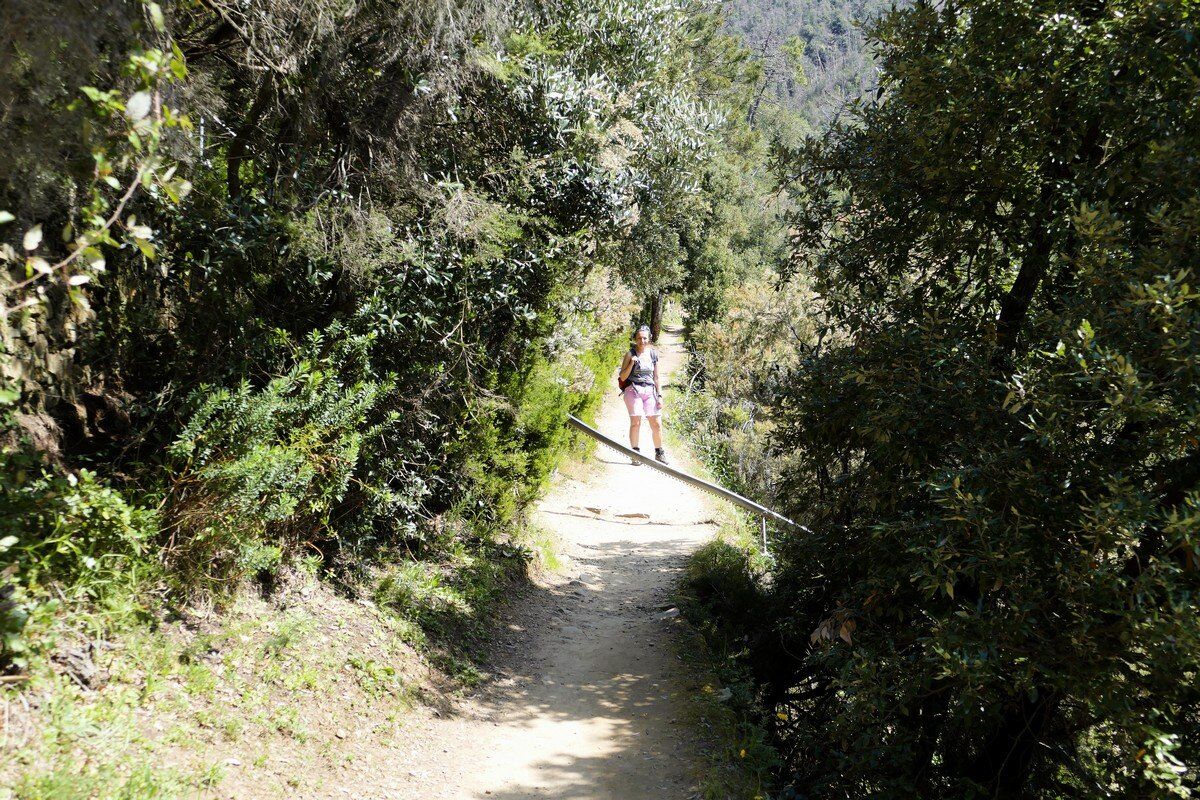 Nach dem Aufstieg geht es im Auf und Ab auf schmalem Pfad weiter.