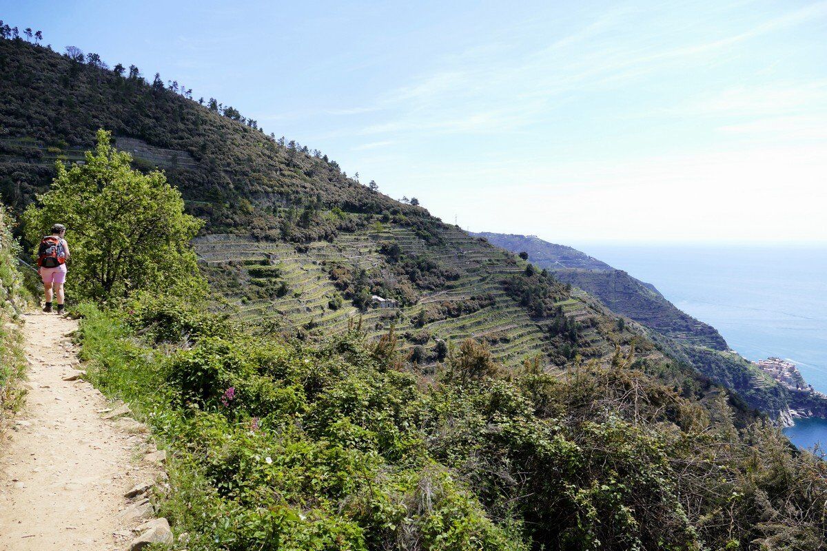 Der Höhenweg verläuft teilweise sehr ausgesetzt durch steile terrassierte Weinberge.