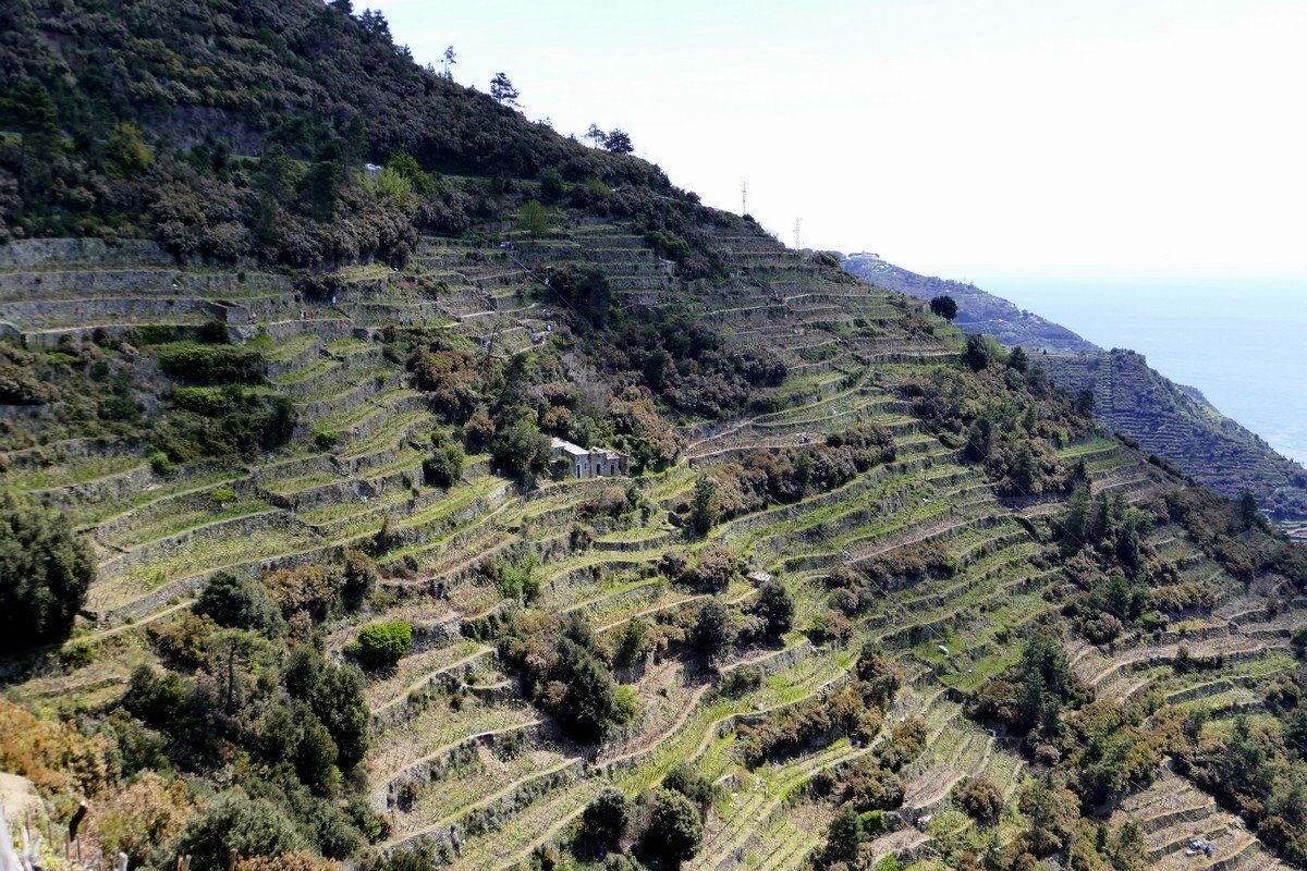 Uralte Trockensteinmauern begrenzen die Terrassen.