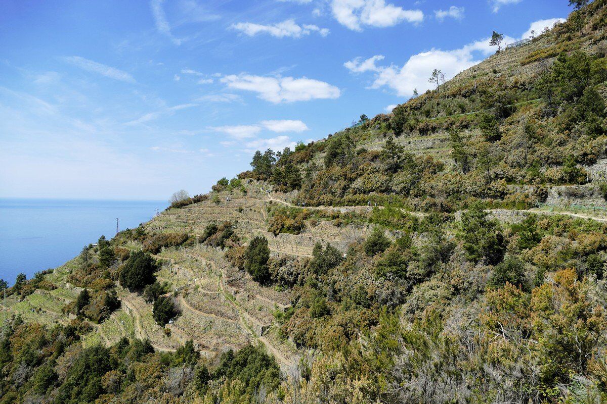 Blick über den Höhenweg.