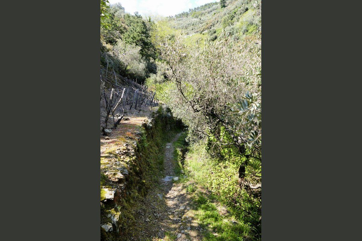 Abstieg nach Groppo.