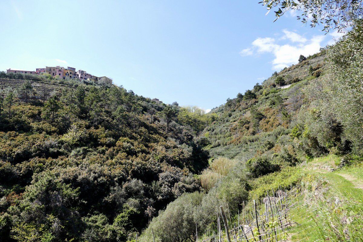 Blick zurück hinauf nach Volastra.