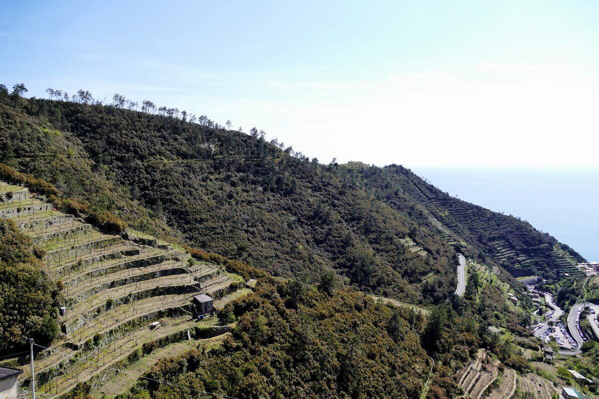 Zu dem Felssporn müssen wir hinüber.
