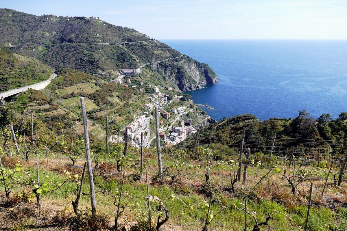 Blick nach Riomaggiore.