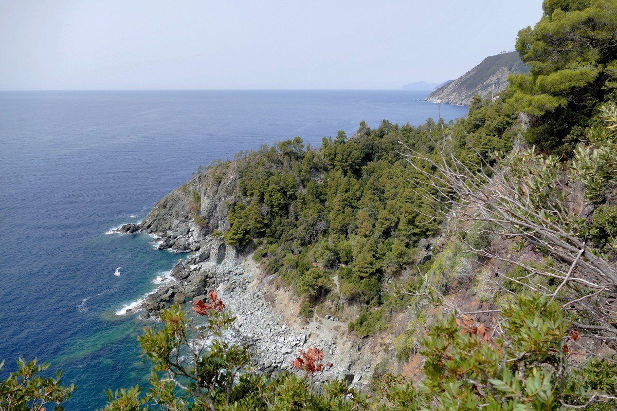 Blick auf die Felsenküste.