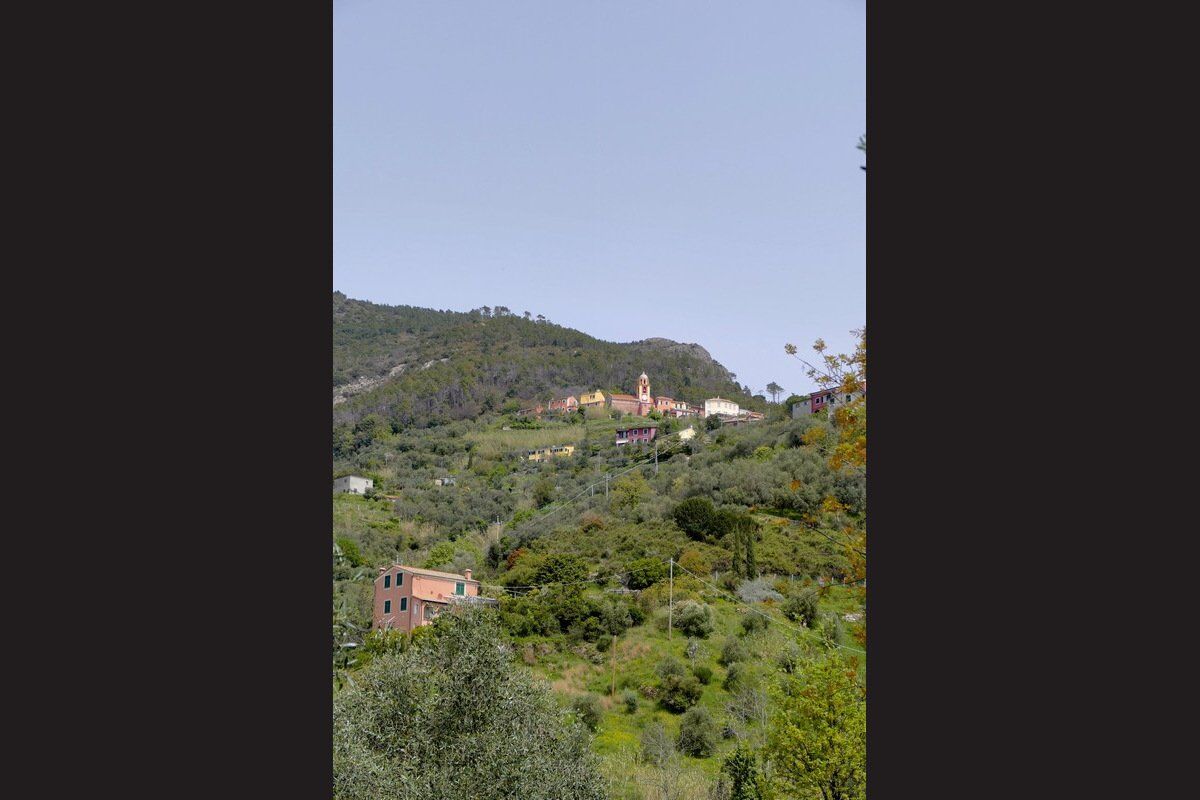 Blick über den grünen Wald der ligurischen Berge.