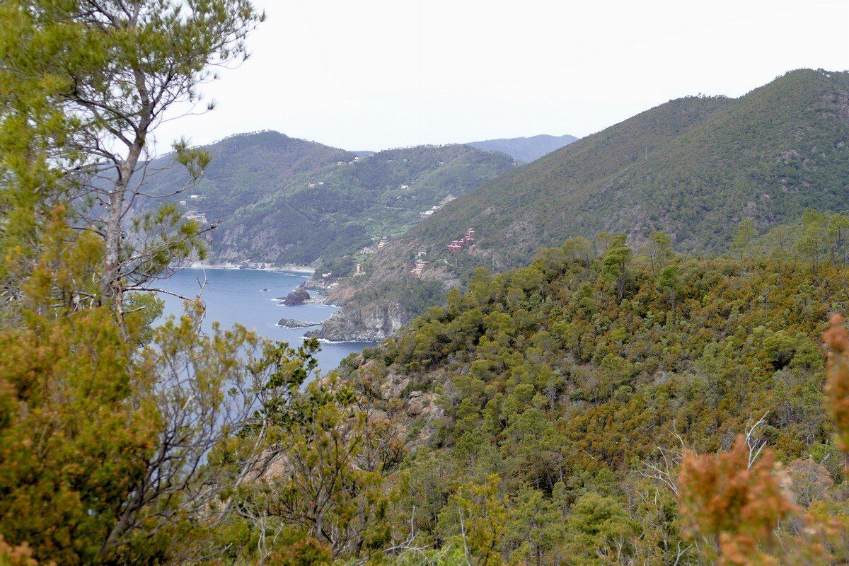 Unten blau, oben grün.