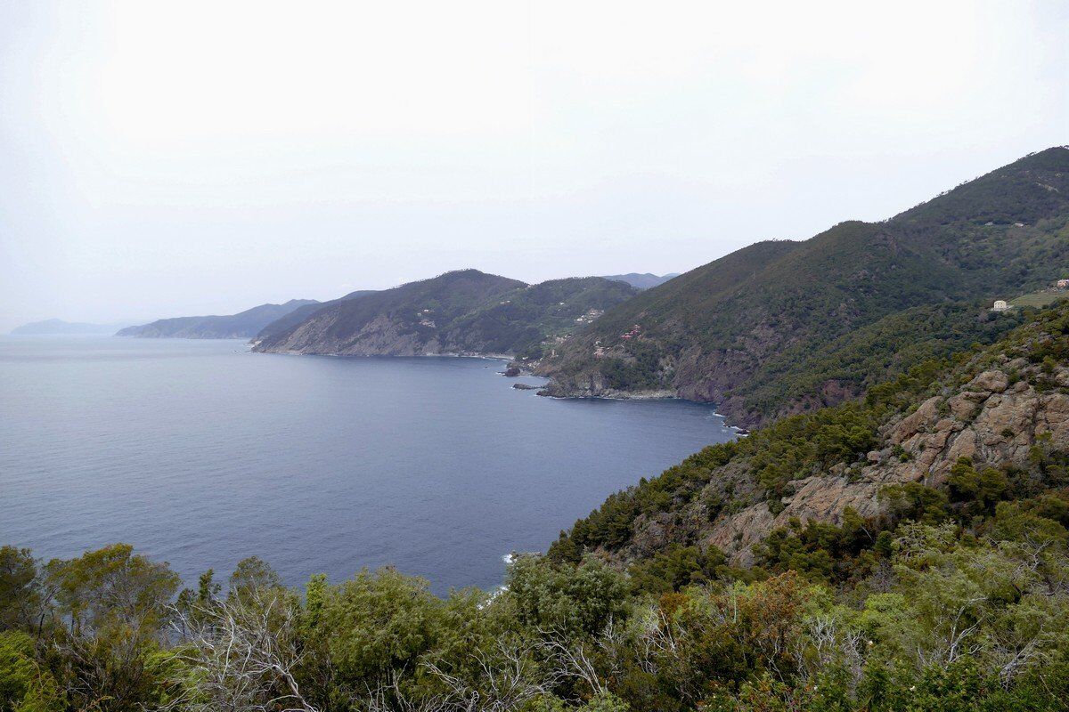 Blick über die Küste.