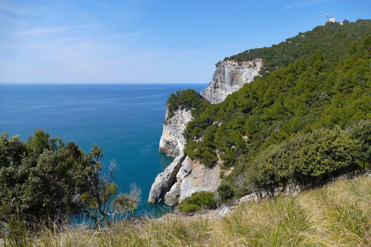 Felsküste von Isola Palmaria.