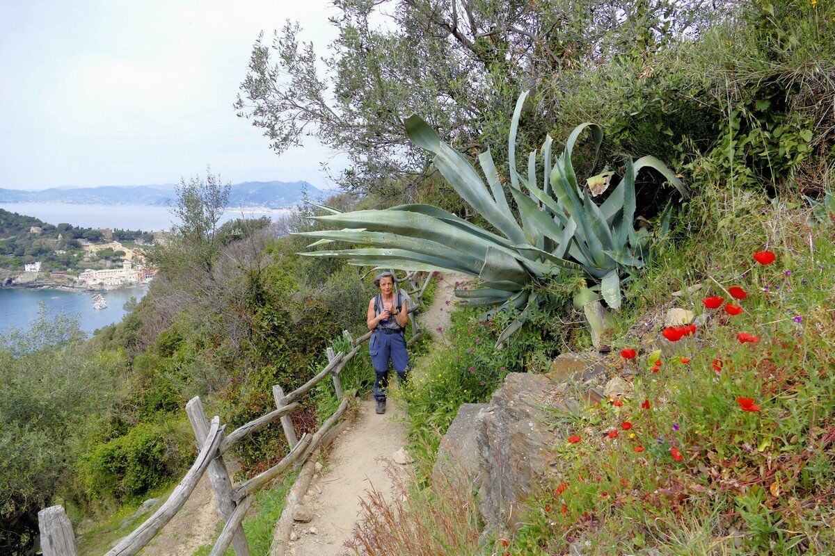 Pfad zur Punta Marana.