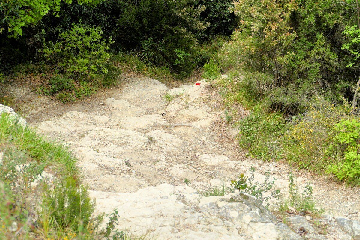 Wanderpfad zur Punta Marana.