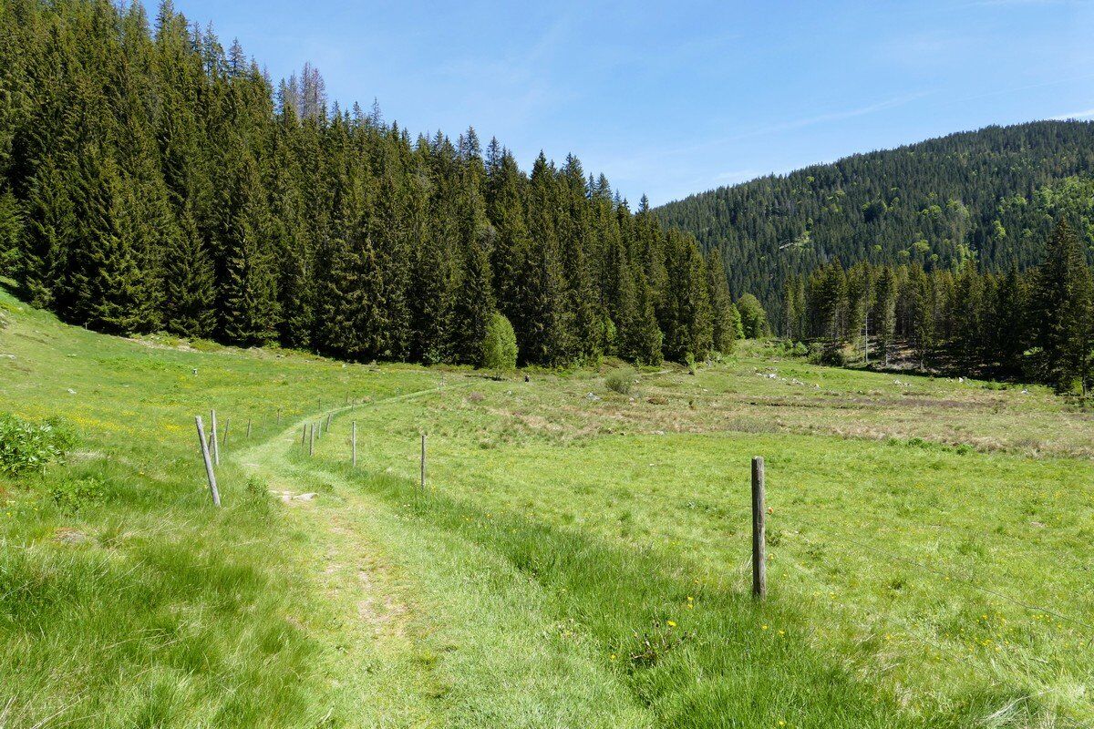 Der Weg führt zum Holzmättle.
