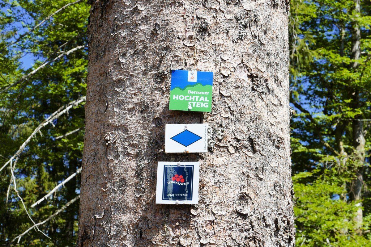 Der Bernauer Hochtal Steig ist hervorragend markiert.