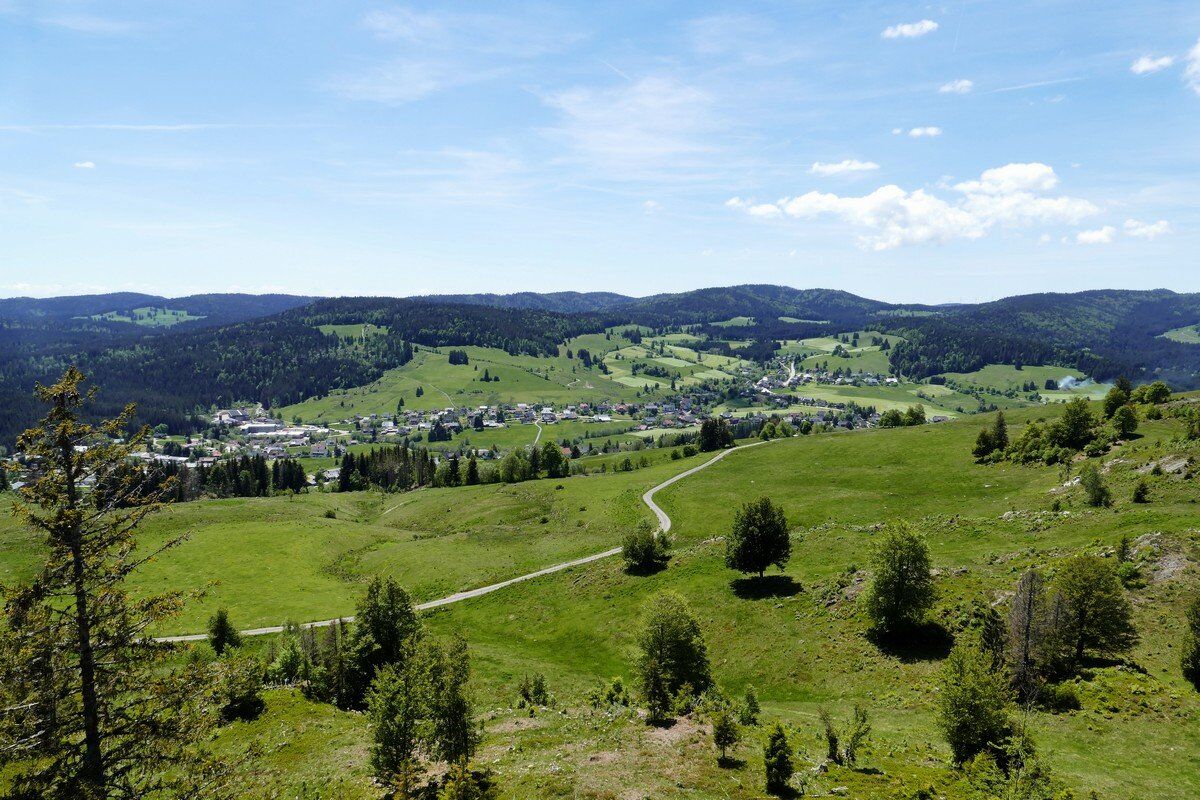 Blick vom Hohfelsen über die Schwarzwälder Höhen.