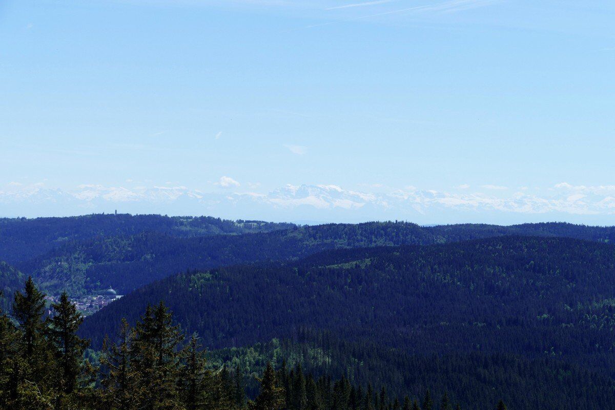 In der Ferne schimmern die schweizer Alpen durch den Dunst.