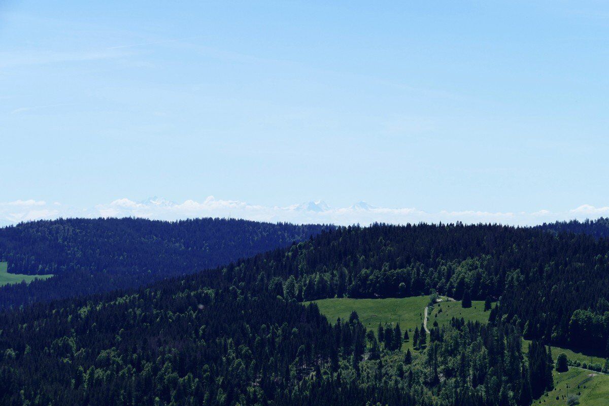 Der Blick reicht bis zu den schneebedeckten Alpen.